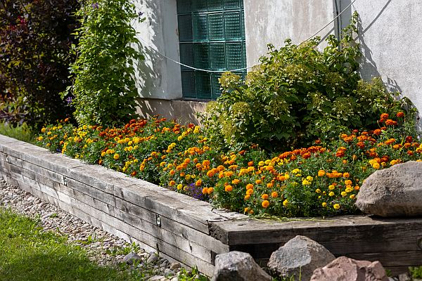 A Greenville landscaping company can improve curb appeal.