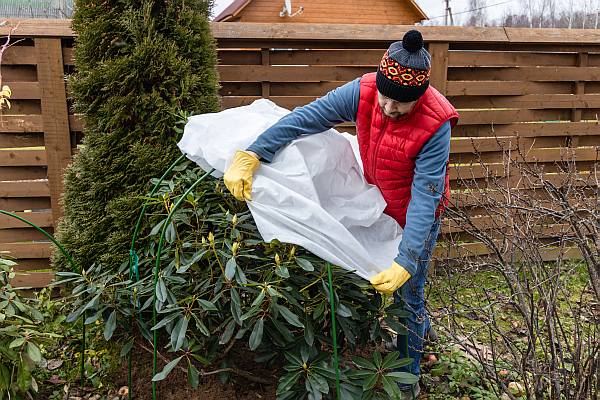 winter landscaping maintenance tips to protect your garden