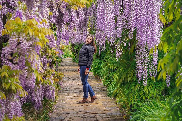 plants like wisteria can overtake your garden